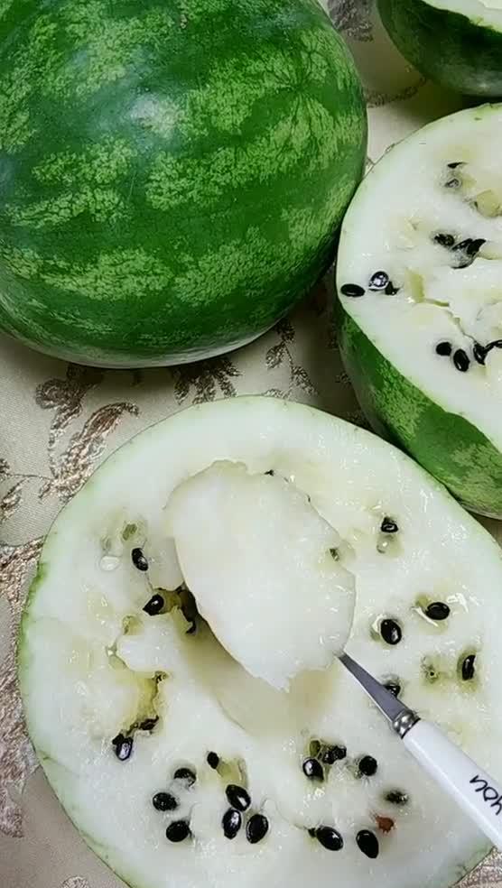 东北证券吃瓜 第1张 东北证券吃瓜 第1张